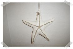 a white starfish ornament hanging on a wall