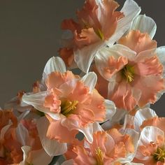 some pink and white flowers are in a vase