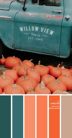 an orange and blue color scheme with pumpkins