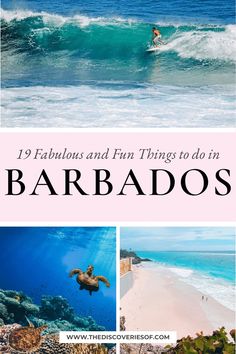 the beach and ocean with text overlay that reads 9 fabulous and fun things to do in barbados