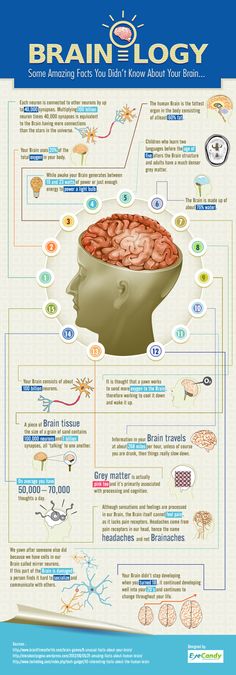 the brain and its functions are depicted in this poster