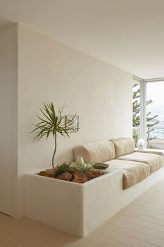 a living room filled with furniture and a potted plant in the middle of it