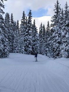 a person riding skis down a snow covered slope next to pine tree's