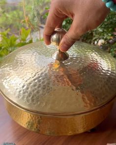 a person is touching the top of a large metal pot on a table with plants in the background