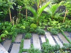 an outdoor garden with stone walkways and plants