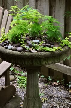 a bird bath filled with rocks and plants next to a wooden bench in a garden