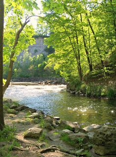 a river running through a lush green forest filled with rocks and trees on both sides