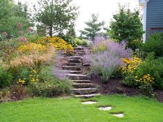 a garden with steps leading up to the house