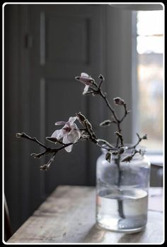 a vase filled with water sitting on top of a wooden table next to a window