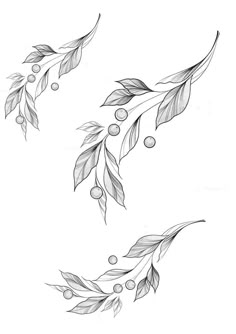 an artistic drawing of leaves and berries on a white background, in black and white