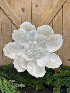 a large white flower sitting on top of a green plant next to a wooden fence