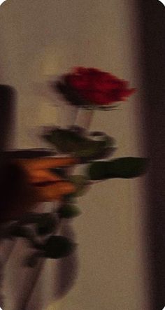 blurry photograph of red flowers in vases on table next to wall with mirror