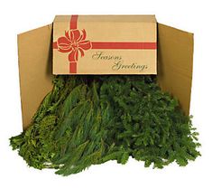 a cardboard box filled with lots of green grass and a red ribbon on top of it