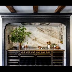 an old fashioned kitchen with marble counter tops and black cabinetry, along with potted plants