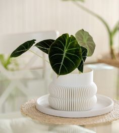 a plant in a white vase sitting on top of a table