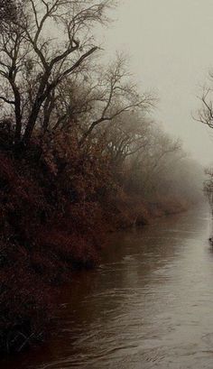 a boat traveling down a river next to trees and bushes in the rain on a foggy day