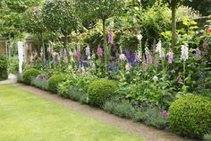 a garden filled with lots of different types of flowers