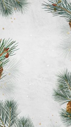 pine branches and cones on a white background with gold flecks in the snow