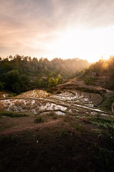 the sun shines brightly over an area that has been flooded with water and grass