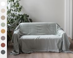 a couch covered with a blanket in front of a potted plant on the floor