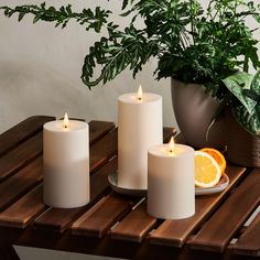 three white candles sitting on top of a wooden table next to a potted plant