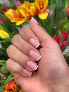 Nail Inspo Natural Nails, Nail Inspo Natural, Diy Natural Nails, Nail Trends For 2023, French Nail Polish, Dubai 2023, Nail Specialist, White French Nails, Sns Nails Colors