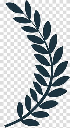 an olive branch on a transparent background