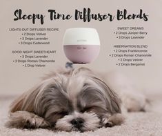 Bedtime sleepy time diffuser blends Sleepy Diffuser Blends Doterra, Doterra Bedtime Diffuser Blends, Doterra Night Time Diffuser Blends, Dog Diffuser Blends, Sleepy Time Diffuser Blend, Diffuser Blends For Dogs, Night Time Diffuser Blends, Bedtime Diffuser Blends, Sleep Diffuser Blends