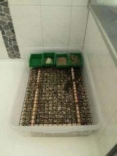 two green trays sitting on top of a bath tub next to a tiled wall