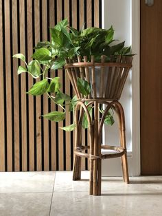 a plant in a basket on the floor