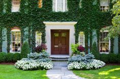 a house covered in green ivy and white flowers