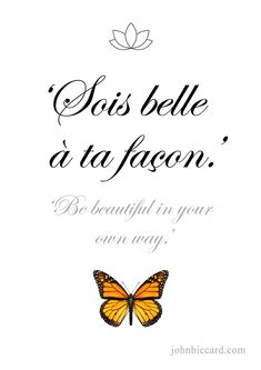 an orange butterfly sitting on top of a white background with the words'sais bele