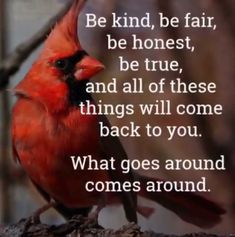 a red bird sitting on top of a tree branch next to a quote from the book be kind, be fair, be honest, be true, and all of these things will come back to you