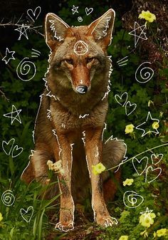 a drawing of a wolf with hearts and stars on it's chest sitting in the grass