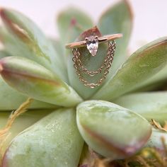 The Call Me! is a tantalizing 14K gold seam ring with 1mm cable chain cascading beneath a 4mm x 2.5mm prong set Pear Shaped Gemstone. All Sales Final.  Guaranteed against any manufacturing defects. 14k Gold Teardrop Jewelry With Single Diamond, 14k Gold Teardrop Jewelry For Promise, Teardrop 14k Gold Promise Ring, Delicate Marquise Cut Yellow Gold Jewelry, Dainty Marquise Jewelry For Promise, 14k Gold Vvs Clarity Dangle Jewelry, Dainty Marquise Cut Yellow Gold Jewelry, Marquise 14k Gold Promise Jewelry, 14k Gold Marquise Jewelry For Promise