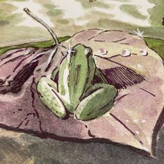 a drawing of a frog sitting on top of a pink and green blanket with eyes drawn on it