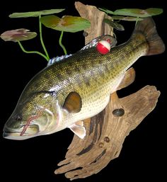 a fish that is sitting on a branch