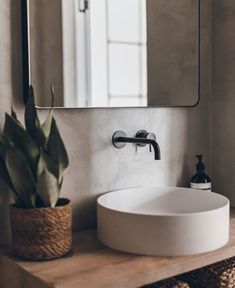 a white sink sitting under a bathroom mirror next to a potted succulent