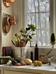 a kitchen counter with pots and pans hanging on the wall next to a potted plant