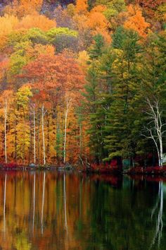 the trees are changing colors and reflecting in the water