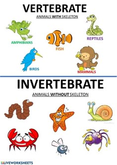 an animal and insect poster with the words invertebate, animals without skeleton