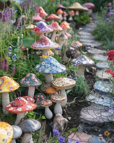 many different colored mushrooms are growing in the garden