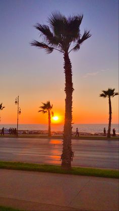 the sun is setting over the ocean with palm trees and people walking on the sidewalk