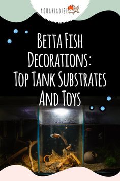 an aquarium with fish in it and the words betta fish decorations top tank substances and toys