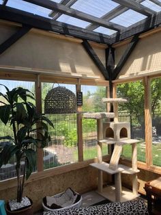 a cat tree in the middle of a sun room with lots of windows and furniture