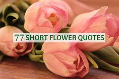 pink tulips with the words 77 short flower quotes written on them in green