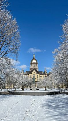 a large building surrounded by trees covered in snow