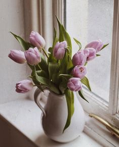 pink tulips in a white pitcher on a window sill