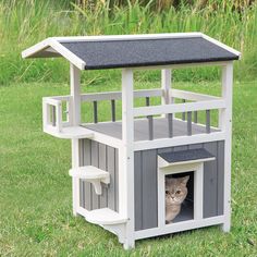 a cat in a house on the grass