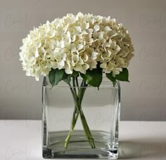 there is a clear vase with white flowers in it